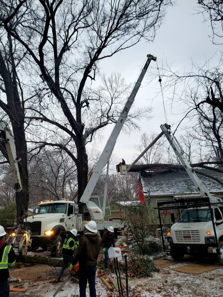 removing large tree branch from roof