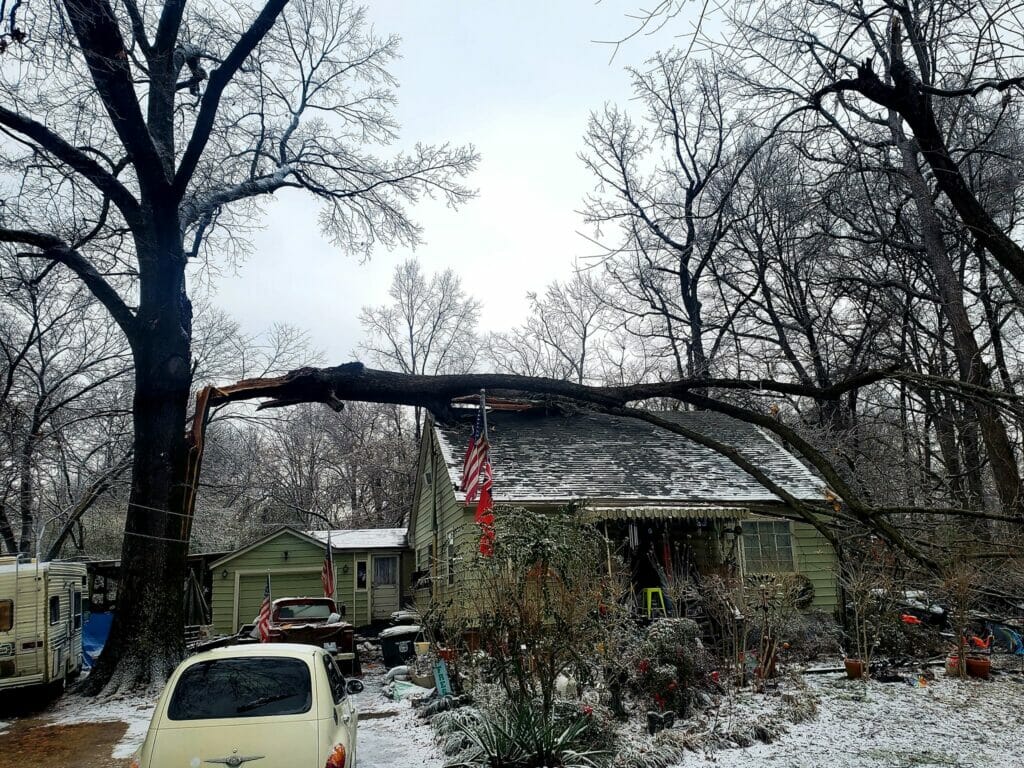 Large limb of tree on roof of home