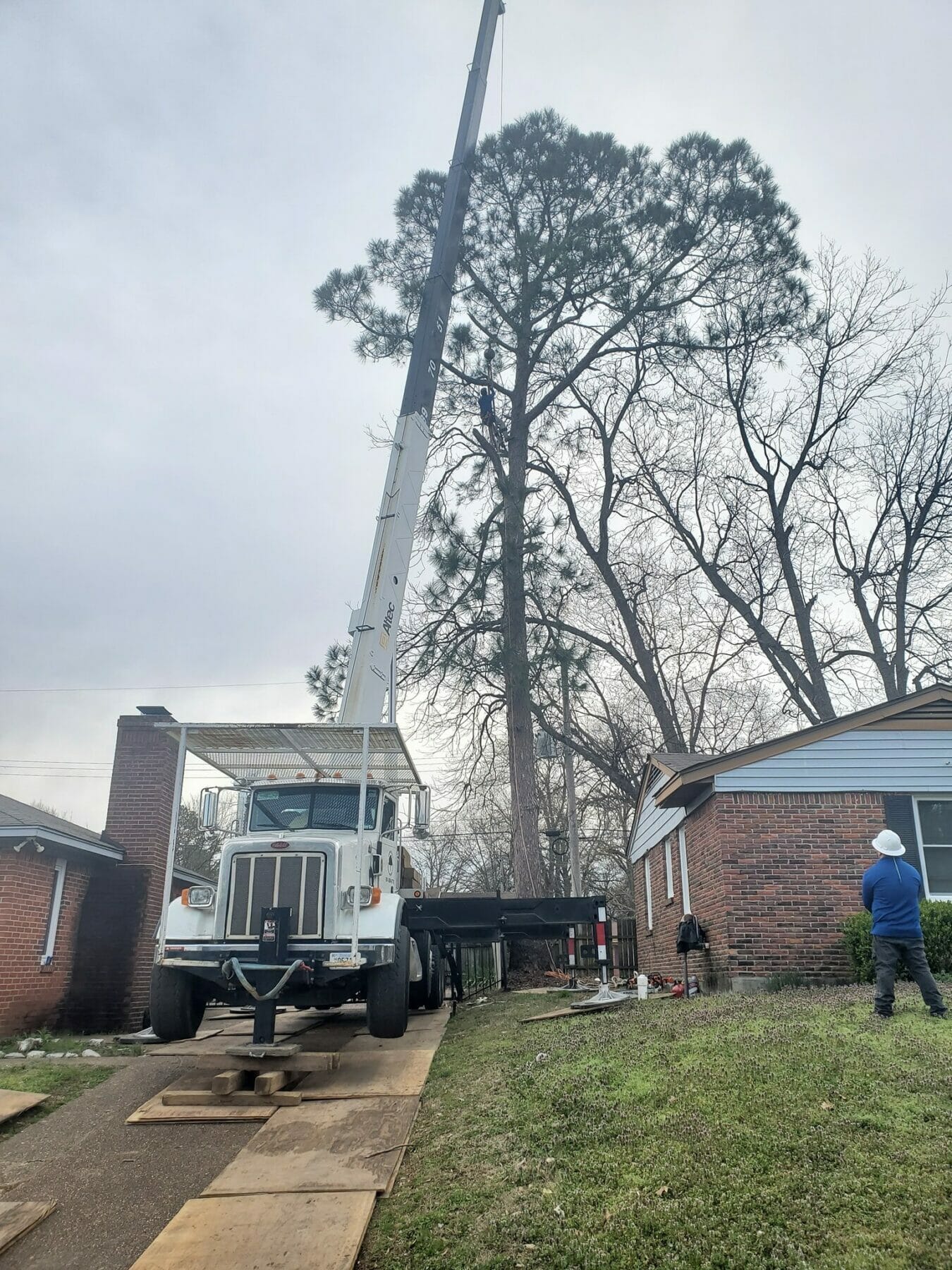 Large crane to help with tree removal