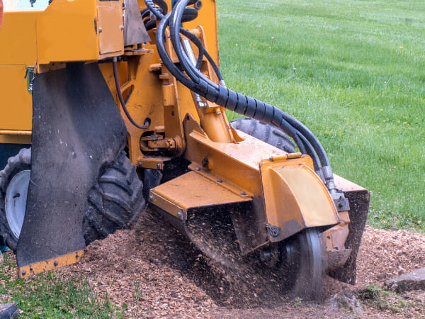 Stump grinder getting rid of stump