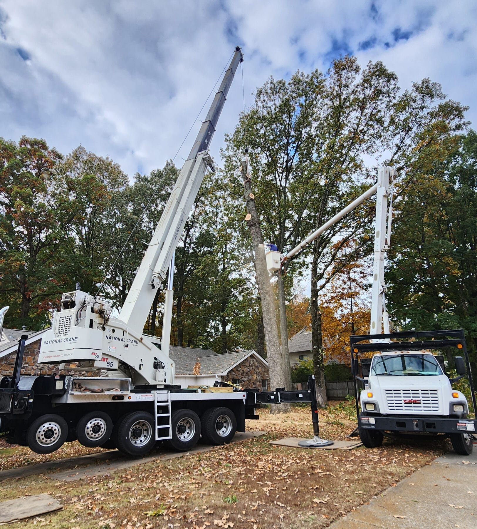 Tree removal using crane truck